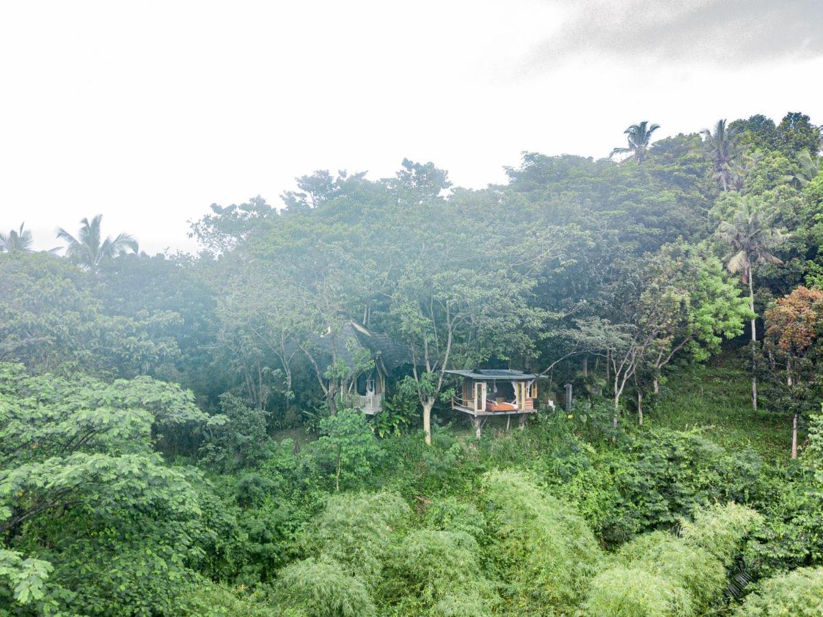 Villa Bird Hills Bamboo House à Karangasem Extérieur photo